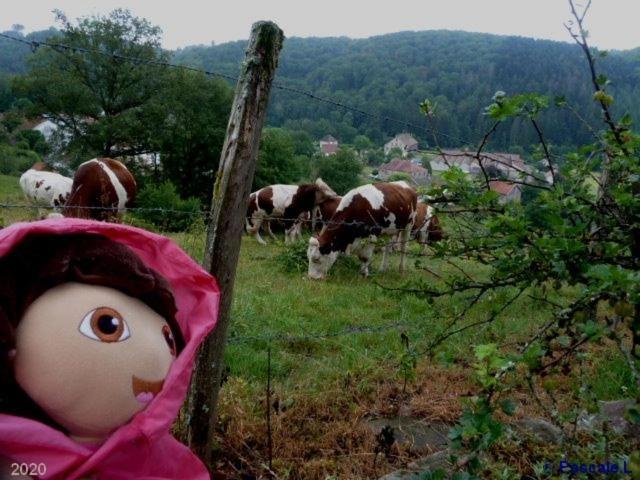 Gite Rural Les Maires D'Avaux Saint-Bresson Luaran gambar