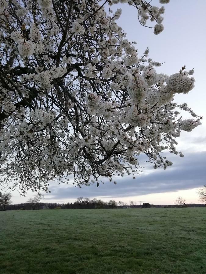 Gite Rural Les Maires D'Avaux Saint-Bresson Luaran gambar